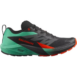 Salomon Sense Ride 5 férfi...
