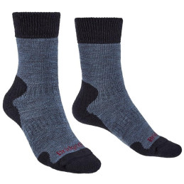 ⬤ Bridgedale Explorer...