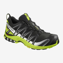 ⬤ Salomon XA Pro 3D GTX...