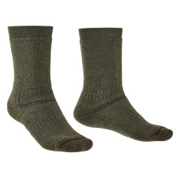 ⬤ Bridgedale Explorer...