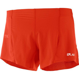 ⬤ Salomon S/LAB Short 4...
