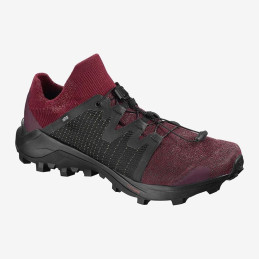 ⬤ Salomon Cross Pro ffi....