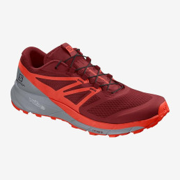 ⬤ Salomon Sense Ride 2