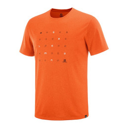 Salomon Agile Graphic Tee...