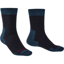 ⬤ Bridgedale Explorer...