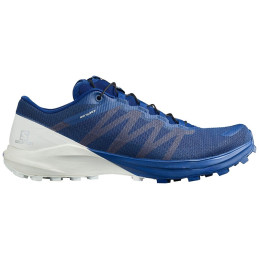 ⬤ Salomon Sense 4 Pro